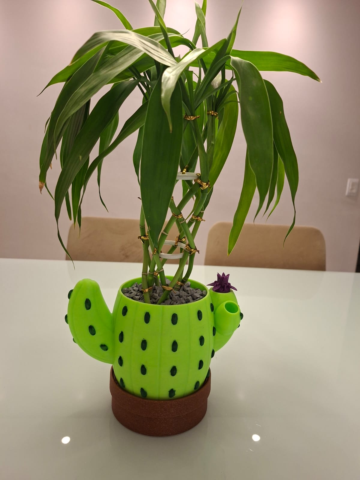 Vaso Inteligente - Cacto